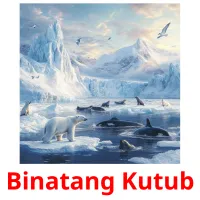 Binatang Kutub cartes flash