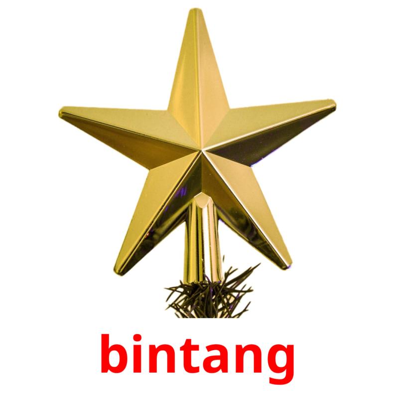 bintang picture flashcards