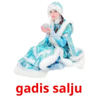 gadis salju Bildkarteikarten