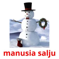 manusia salju Bildkarteikarten