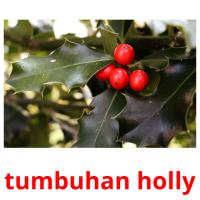 tumbuhan holly card for translate