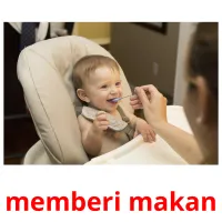 memberi makan cartes flash