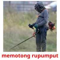 memotong rupumput cartes flash