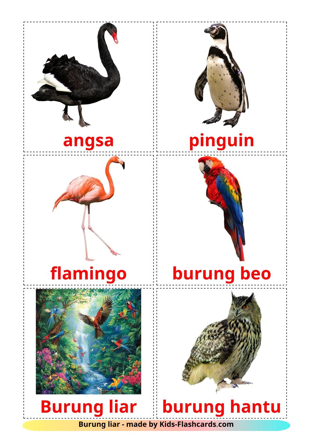 Les Oiseaux Sauvages - 19 Flashcards indonésien imprimables gratuitement