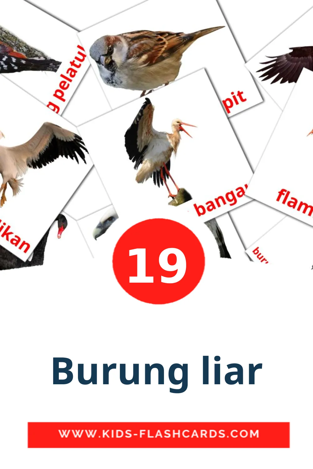 19 cartes illustrées de Burung liar pour la maternelle en indonésien