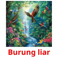 Burung liar cartes flash