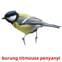 burung titmouse penyanyi cartes flash