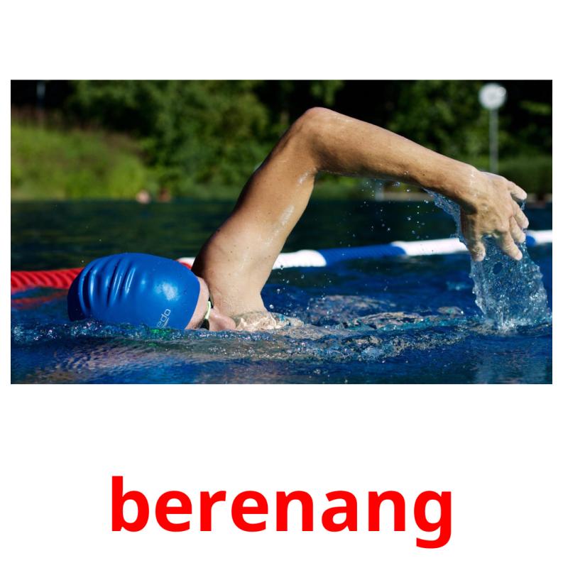 berenang picture flashcards