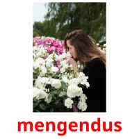 mengendus flashcards illustrate