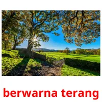 berwarna terang cartes flash