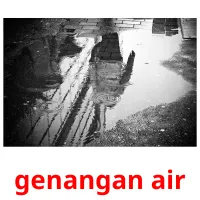 genangan air cartes flash