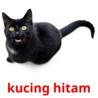 kucing hitam card for translate