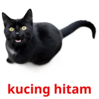 kucing hitam Bildkarteikarten