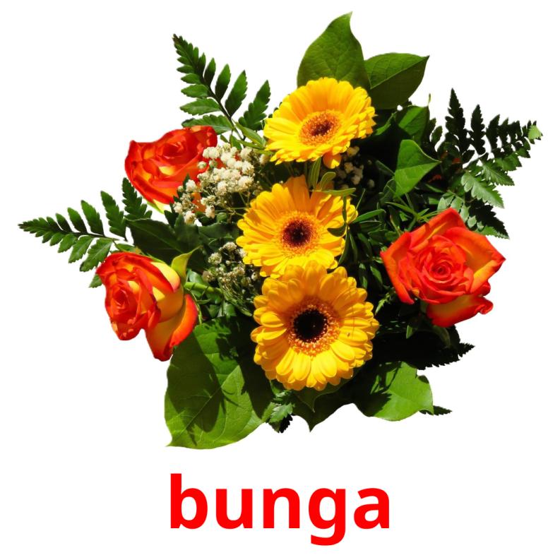 bunga picture flashcards