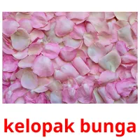 kelopak bunga Bildkarteikarten