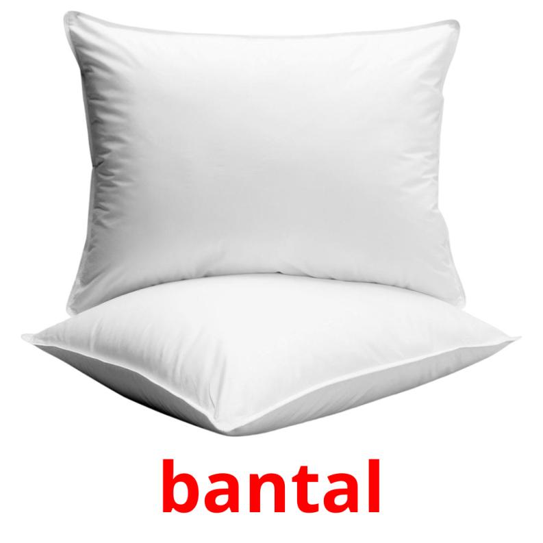 bantal picture flashcards