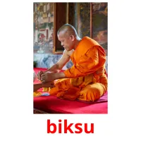 biksu cartes flash