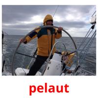 pelaut card for translate