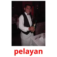 pelayan cartes flash