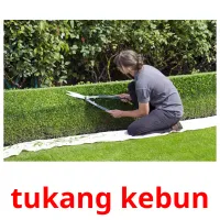 tukang kebun cartes flash