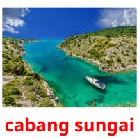 cabang sungai cartes flash