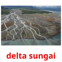 delta sungai cartes flash