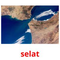 selat card for translate