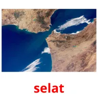 selat cartes flash