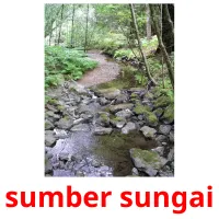 sumber sungai cartes flash