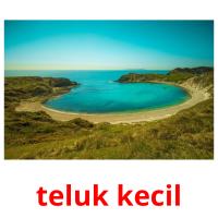 teluk kecil picture flashcards