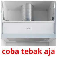 coba tebak aja cartes flash