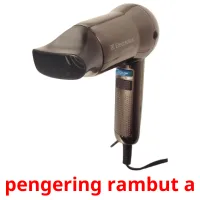 pengering rambut a cartes flash