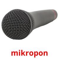 mikropon picture flashcards