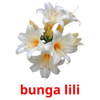 bunga lili card for translate