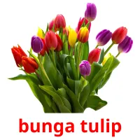 bunga tulip cartes flash