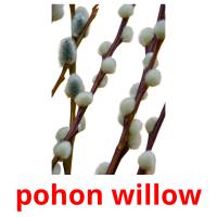 pohon willow card for translate