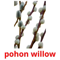 pohon willow cartes flash