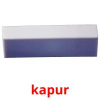 kapur picture flashcards