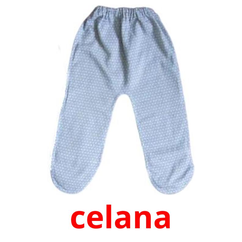 celana picture flashcards