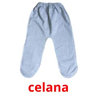 celana picture flashcards