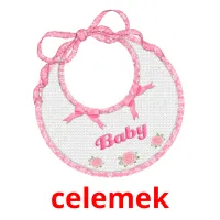 celemek picture flashcards