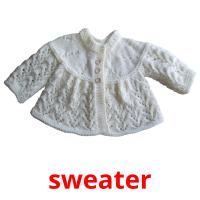 sweater picture flashcards
