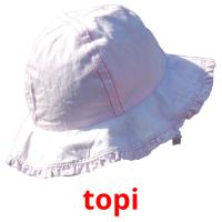 topi picture flashcards