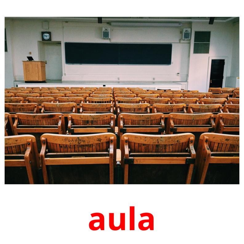 aula picture flashcards