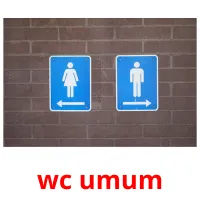 wc umum cartes flash