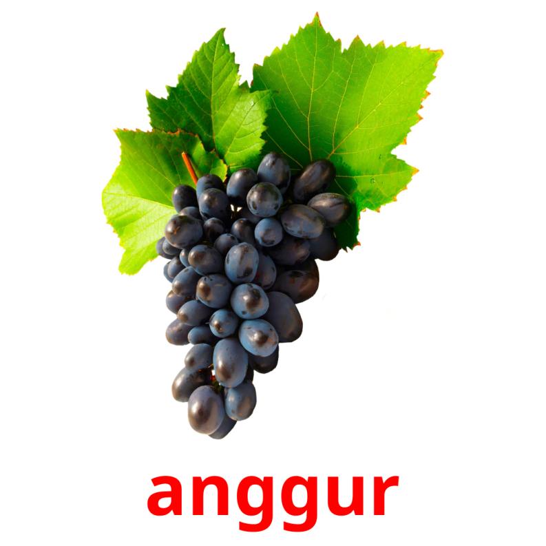 anggur picture flashcards