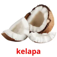 kelapa cartes flash