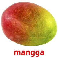 mangga Tarjetas didacticas