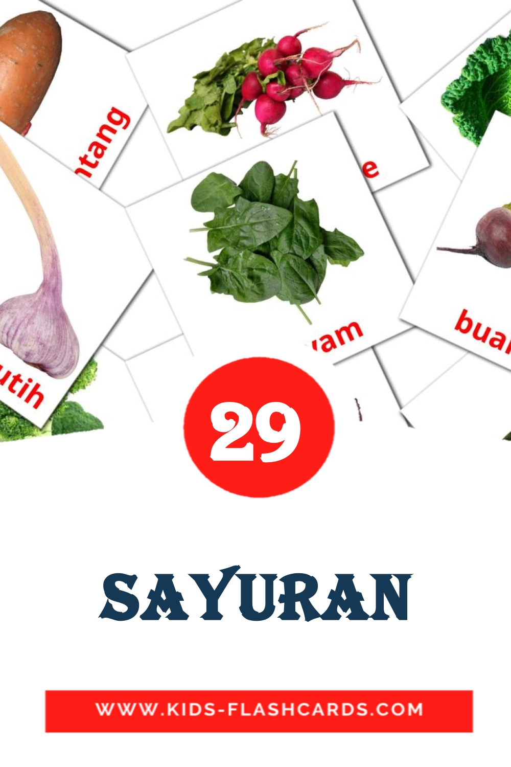 Sayuran на индонезийском для Детского Сада (29 карточек)
