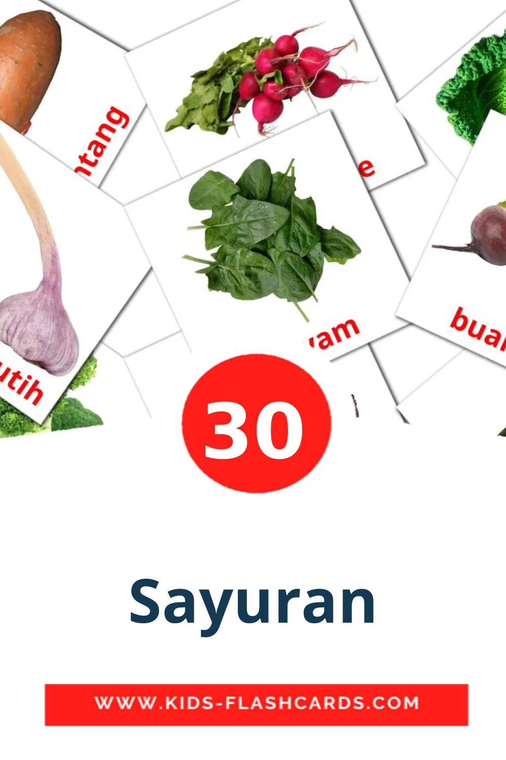 30 cartes illustrées de Sayuran pour la maternelle en indonésien